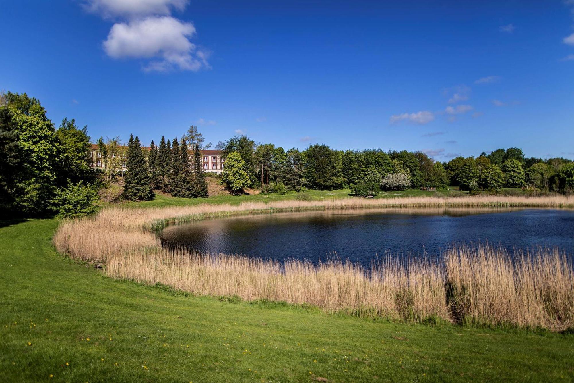 Scandic Roskilde Park Dış mekan fotoğraf